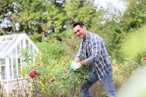 Community garden in Maida Vale with diverse plantings