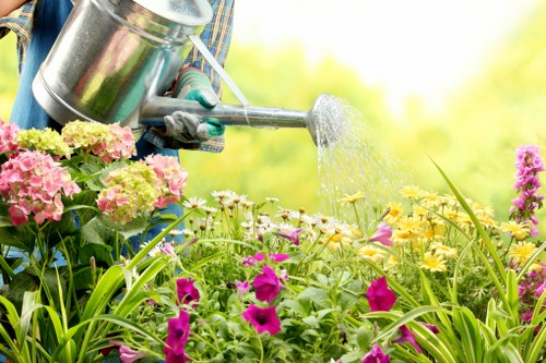 Eco-friendly garden clearance practices in Maida Vale