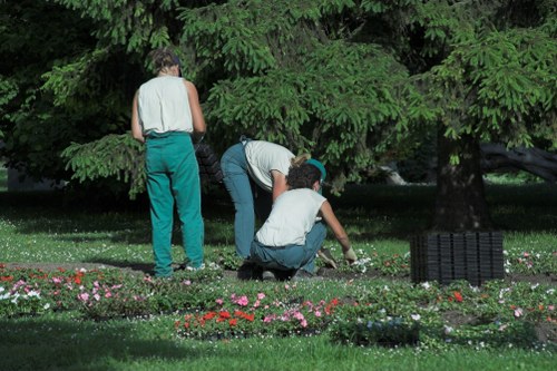 Seasonal garden care in Maida Vale
