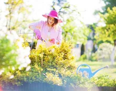 Maintaining a healthy lawn with expert mowing